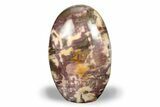 Free-Standing, Polished Petrified Wood - Madagascar #245573-1